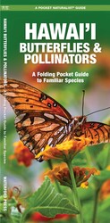 Hawai'i Butterflies & Pollinators Hawai'i Butterflies & Pollinators