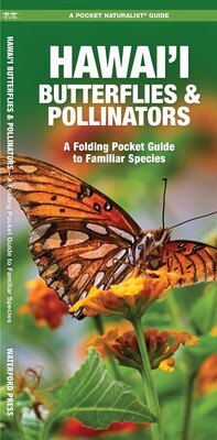 Hawai'i Butterflies & Pollinators