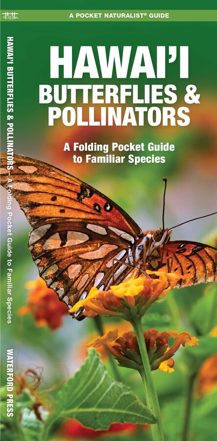 Hawai'i Butterflies & Pollinators