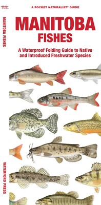 Manitoba Fishes Manitoba Fishes