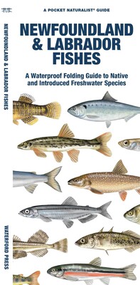 Newfoundland & Labrador Fishes Newfoundland & Labrador Fishes