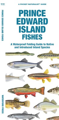 Prince Edward Island Fishes Prince Edward Island Fishes
