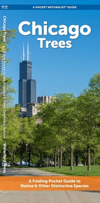 Chicago Trees Chicago Trees
