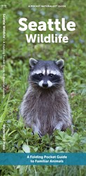 Seattle Wildlife