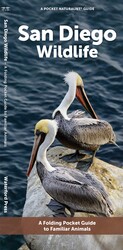 San Diego Wildlife