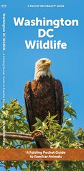 Washington DC Wildlife