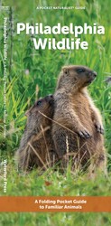 Philadelphia Wildlife