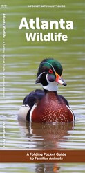 Atlanta Wildlife