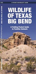 Texas Big Bend, Wildlife of