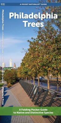 Philadelphia Trees Philadelphia Trees