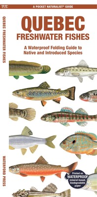 Quebec Freshwater Fishes Quebec Freshwater Fishes