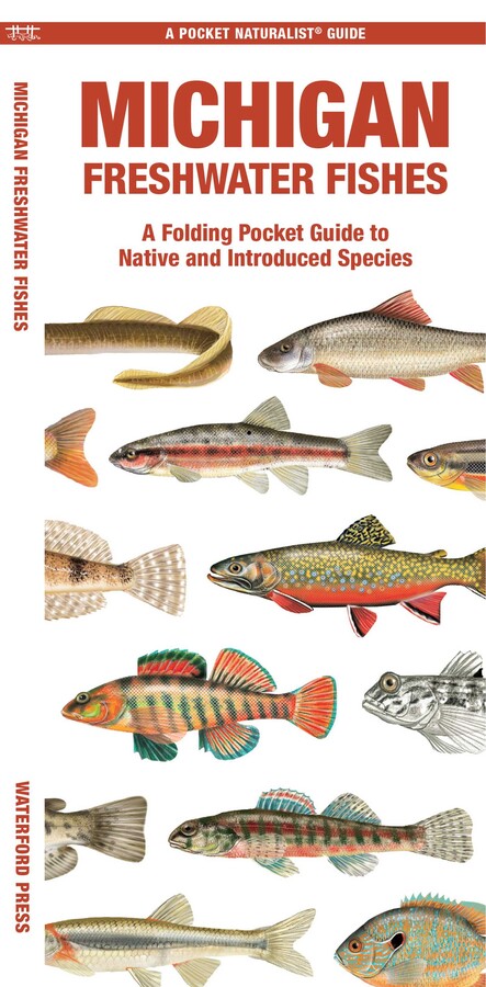 Michigan Freshwater Fishes