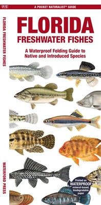 Florida Freshwater Fishes Florida Freshwater Fishes