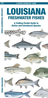 Louisiana Freshwater Fishes Louisiana Freshwater Fishes