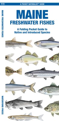 Maine Freshwater Fishes Maine Freshwater Fishes
