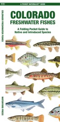 Colorado Freshwater Fishes