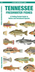 Tennessee Freshwater Fishes