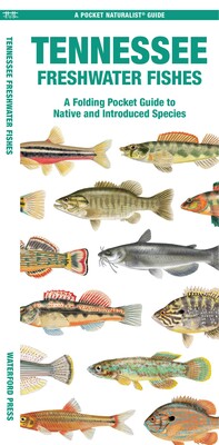 Tennessee Freshwater Fishes Tennessee Freshwater Fishes