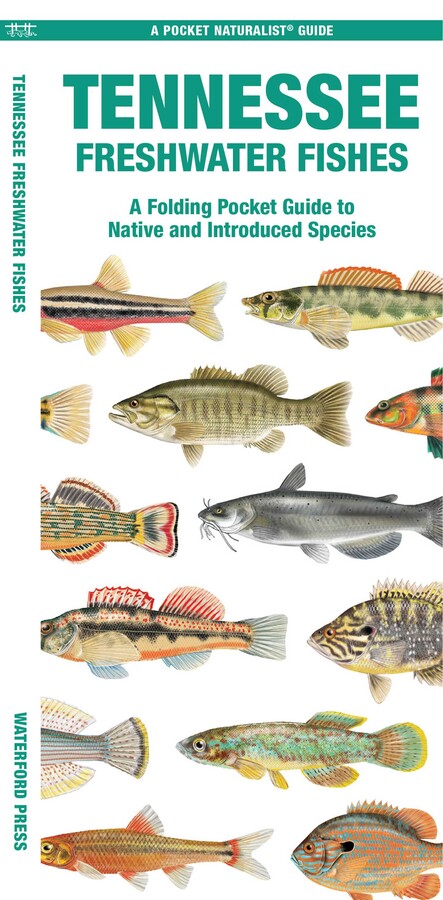 Tennessee Freshwater Fishes