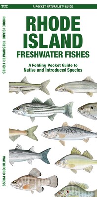 Rhode Island Freshwater Fishes Rhode Island Freshwater Fishes