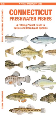 Connecticut Freshwater Fishes Connecticut Freshwater Fishes