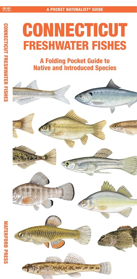 Connecticut Freshwater Fishes