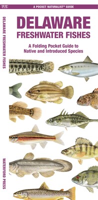 Delaware Freshwater Fishes Delaware Freshwater Fishes