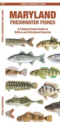 Maryland Freshwater Fishes