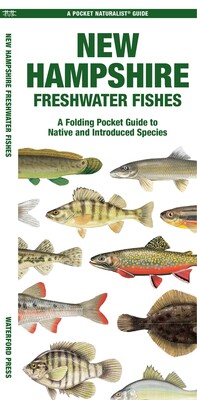 New Hampshire Freshwater Fishes - Book Summary & Video | Official