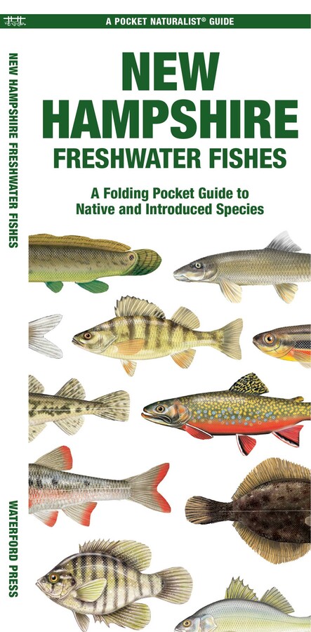 New Hampshire Freshwater Fishes