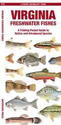 Virginia Freshwater Fishes