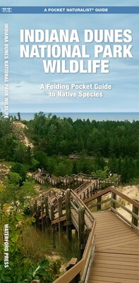 Indiana Dunes National Park Wildlife Indiana Dunes National Park Wildlife