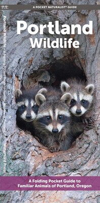 Portland Wildlife Portland Wildlife