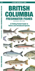 British Columbia Freshwater Fishes