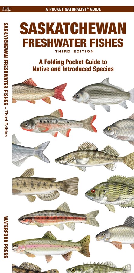Saskatchewan Freshwater Fishes
