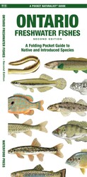 Ontario Freshwater Fishes