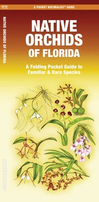 Native Orchids of Florida Native Orchids of Florida