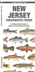 New Jersey Freshwater Fishes