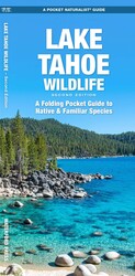 Lake Tahoe Wildlife Lake Tahoe Wildlife