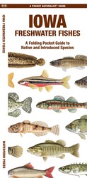 Iowa Freshwater Fishes