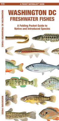Washington DC Freshwater Fishes Washington DC Freshwater Fishes