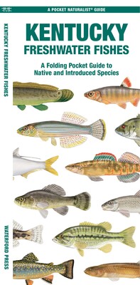 Kentucky Freshwater Fishes Kentucky Freshwater Fishes
