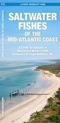 Saltwater Fishes of the Mid-Atlantic Coast Saltwater Fishes of the Mid-Atlantic Coast