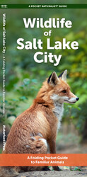 Wildlife of Salt Lake City Wildlife of Salt Lake City