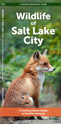 Wildlife of Salt Lake City