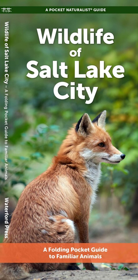 Wildlife of Salt Lake City