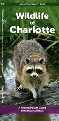 Wildlife of Charlotte Wildlife of Charlotte