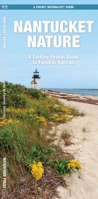 Nantucket Nature Nantucket Nature