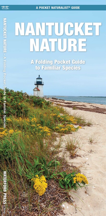 Nantucket Nature