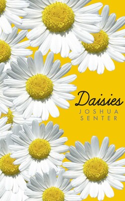 Daisies Daisies